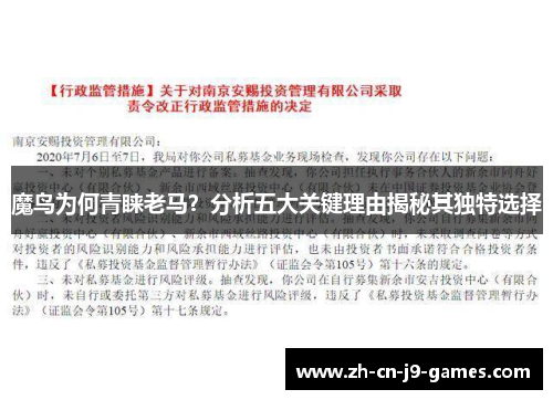 魔鸟为何青睐老马？分析五大关键理由揭秘其独特选择